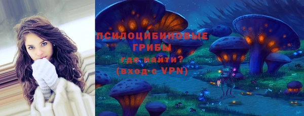 дживик Горно-Алтайск