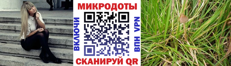 цены   Малаховка  Псилоцибиновые грибы ЛСД 